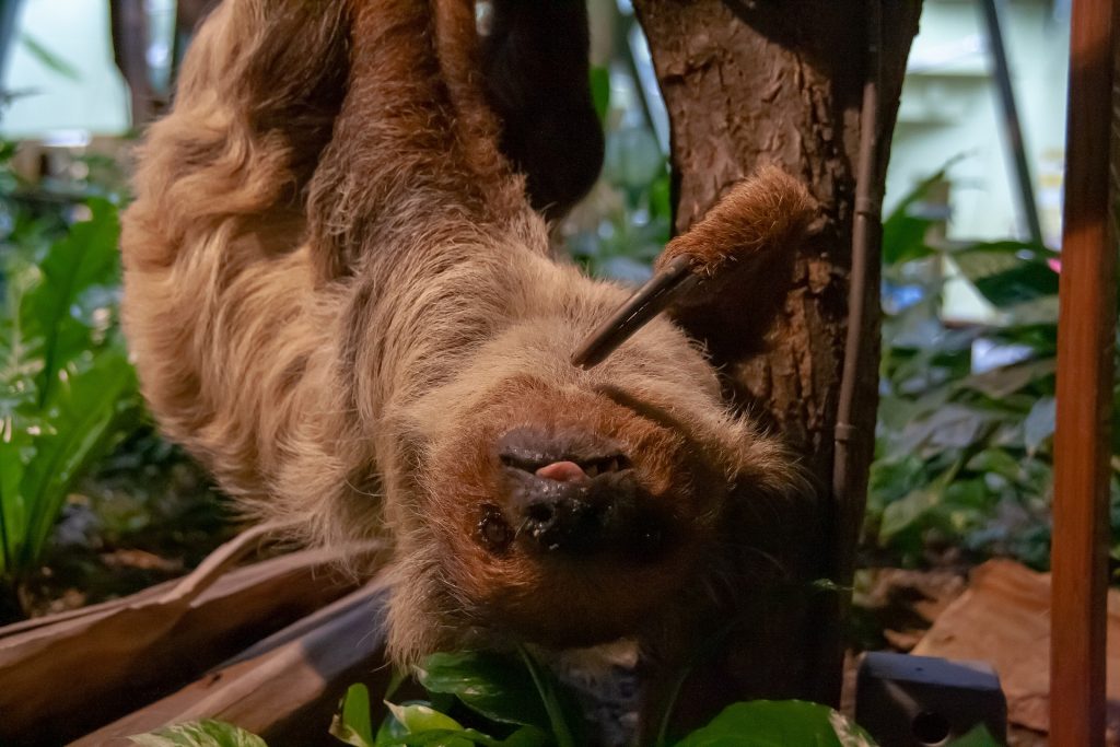 Ich füttere ihn durch, er hängt nur faul rum, meldet sich nicht mal arbeitslos