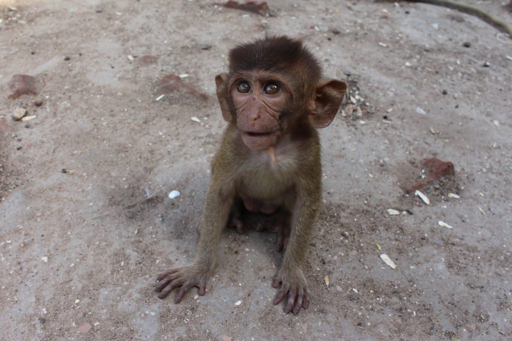 Wenn er mich liebt, warum heiratet er mich nicht und braucht so viel Freiraum?