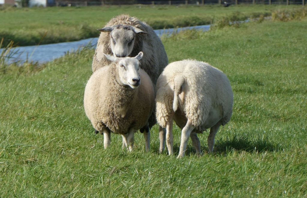 Drang nach anderen Frauen: Meine Untreue ist wie ein Instinkt, ich kann nicht anders
