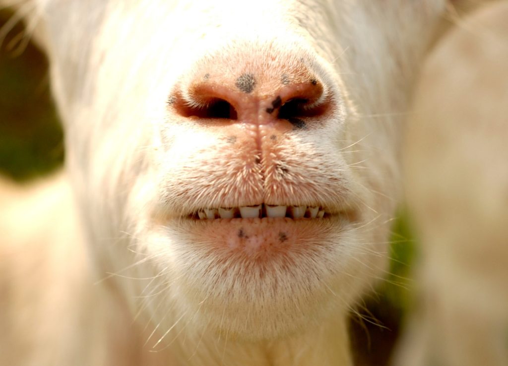 Ich kann ihn nicht mehr riechen, seinen Geruch nicht mehr ertragen!