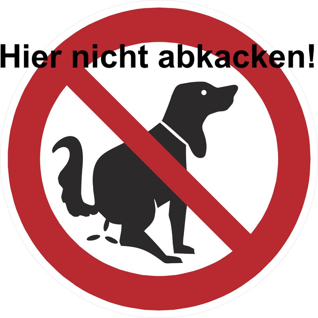 Ich hab meine Chance verpasst; sie hat einen Neuen, doch ich will sie unbedingt!