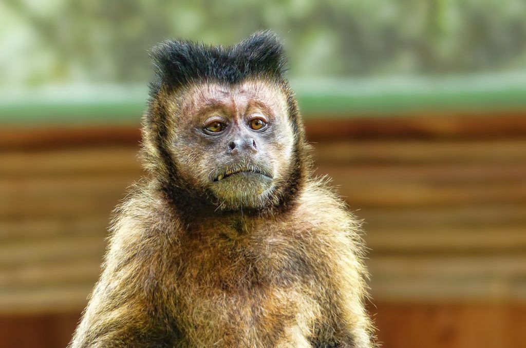 Bin ich meiner Internet-Freundin nicht attraktiv genug?