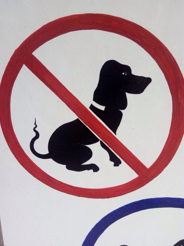 Ist sie noch gebunden? Ihr Verhalten verwirrt mich