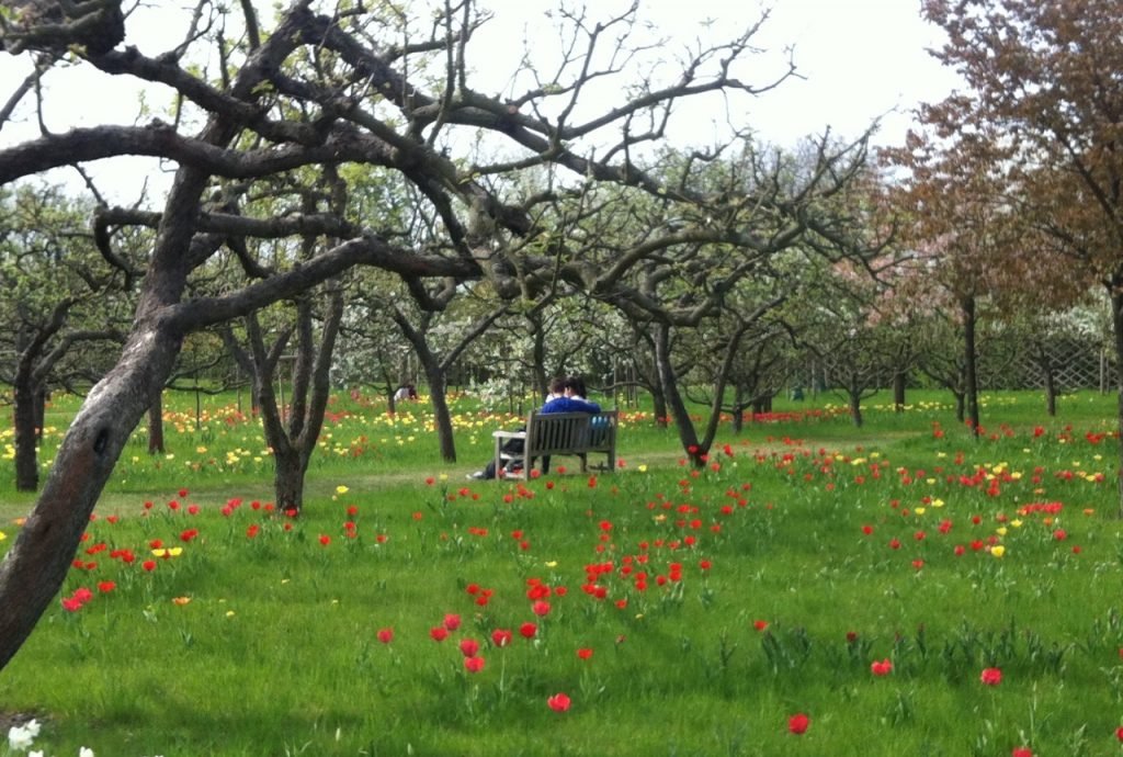 Seit Jahren schwanken wir zwischen Freundschaft und Liebe, kommen wir je zusammen?